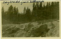 NGU005703b.jpg