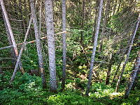 NGU102938.jpg