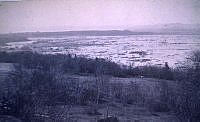 NGUD-030111.jpg