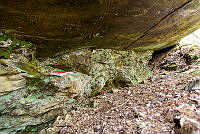 NGU102621.jpg