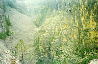 NGU-1994-0001.jpg