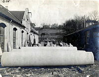 ngu005887.jpg