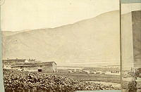 NGU002417a.jpg