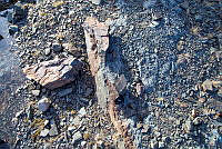 NGU102846.jpg