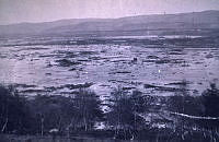 NGUD-030110.jpg